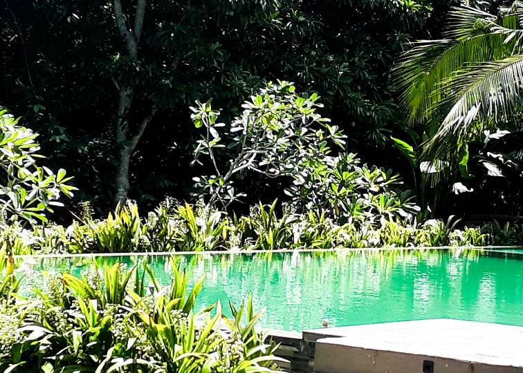 GreenGarden - Pool - Sri Lanka