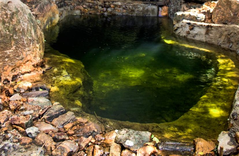 Green Garden Natural Pool